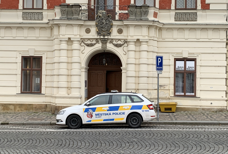 Slaňáci jsou s životem ve městě spokojeni, trápí je ale bezpečnost