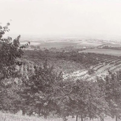 Typická zemědělská oblast středních Čech Československo 1928