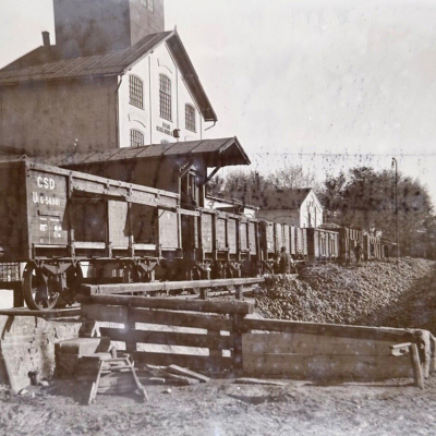 Vykládání řepy v cukrovaru ze želez. vagonů Uhřiněves Československo 4. října 1928
